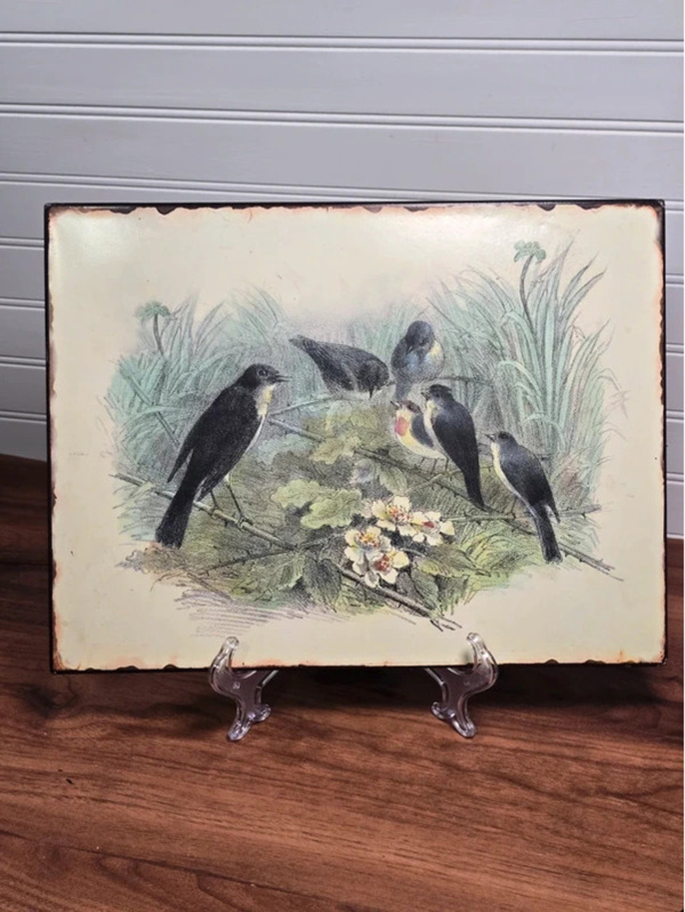 Creative Co-Op Tin Swallow Bird Wall Plaque Vintage Style Botanical Art